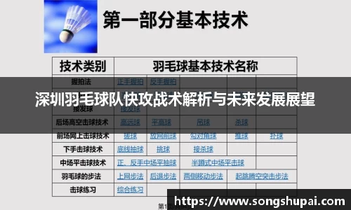 深圳羽毛球队快攻战术解析与未来发展展望
